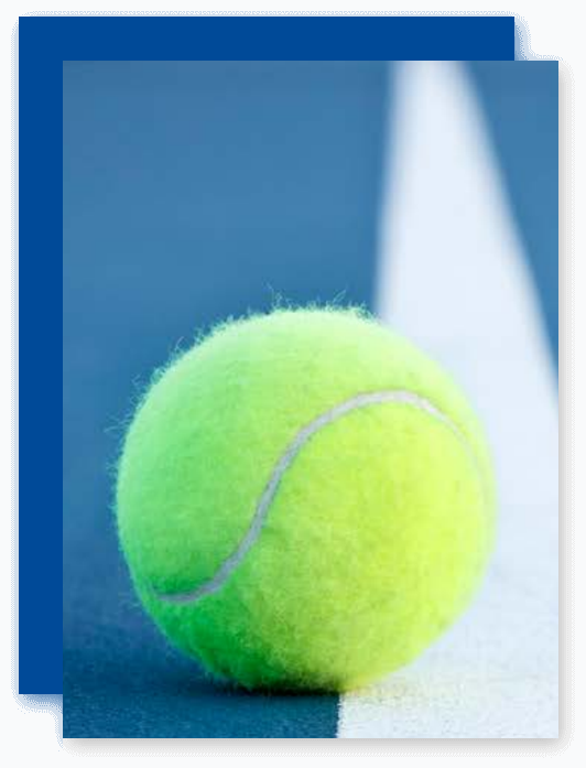 Indoor Outdoor Sports Floor